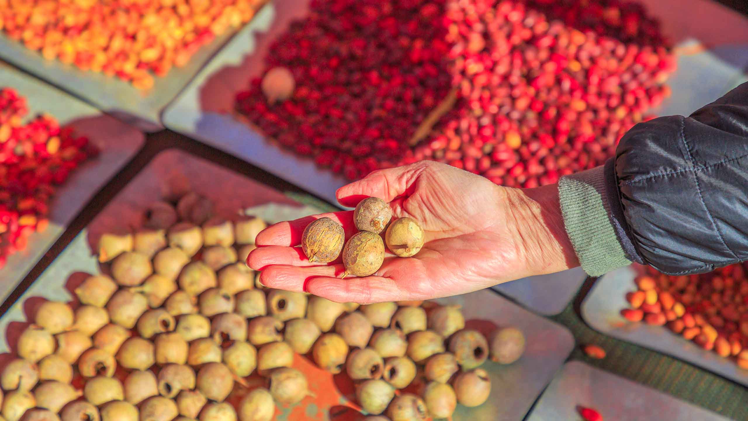 International Conference on Food Analysis ICFA